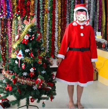 Christmas Santa Claus Dress for Women Santa Claus Dress Santa Claus Suits for Women