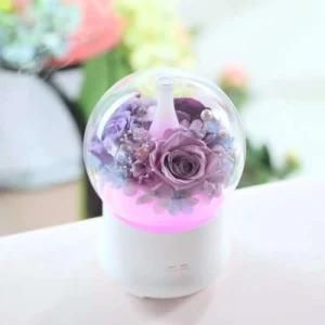 Preserved Real Flower 100ml Humidifier Aromatherapy Diffusers with LED Night Light