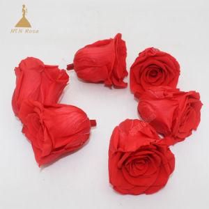 Best Quality Chinese Red Natural Longlasting Roses Preserved Eternal Flowers