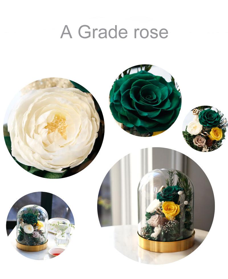 Wholesale Roses Preserved Long Lasting in Glass Dome with Box