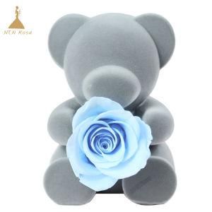 Christmas Valentine&prime;s Day Gift Lovely Preserved Roses Flower Teddy Bear