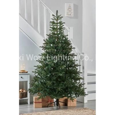 Nordmann Fir Christmas Tree - Green