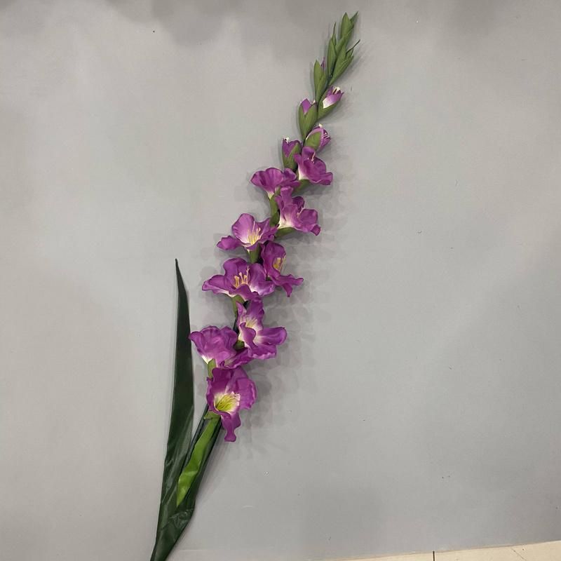 Tall Vase Gladiolus Wedding Flowers with Long Stem Wholesale