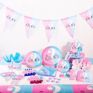 Gender Decryption Party Supplies Gender Revelation Party Decorations for Newborn