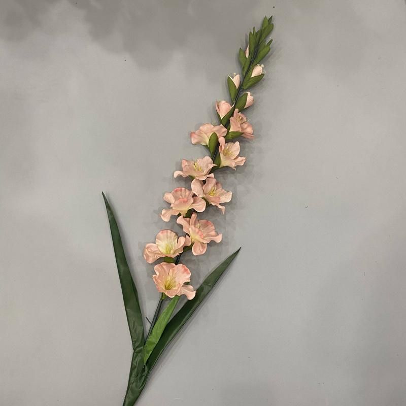 Tall Vase Gladiolus Wedding Flowers with Long Stem Wholesale