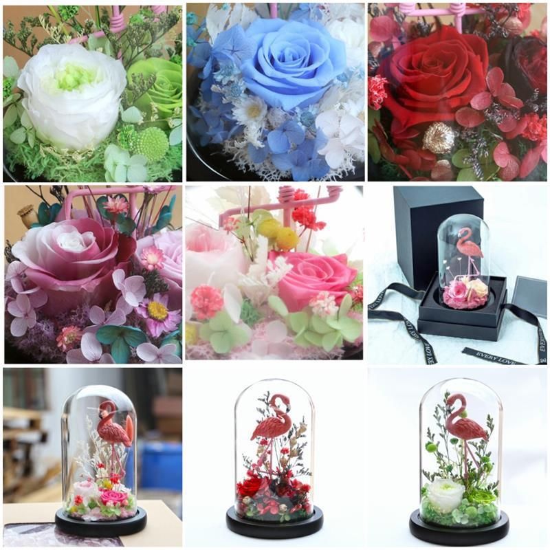 100% Fresh Natural Long Life Real Preserved Flower Preserved Bird Rose in LED Light Glass Dome