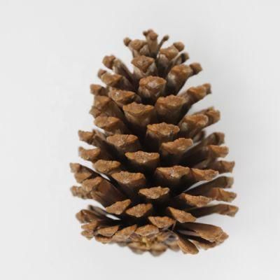 Christmas Pine Cone Decoration Christmas Tree Ornaments Small Pendant