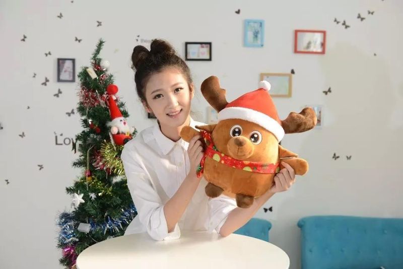 Christmas Santa Claus Plush Toy