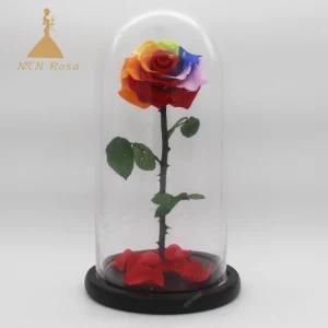 Preserved Real Forever Rainbow Rose with Stem in Glass Dome for Wedding Centerpieces