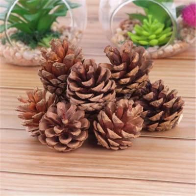 Natural Primary Colored Pine Cones 4-5cm Christmas Supplies Xmas Tree Hangings