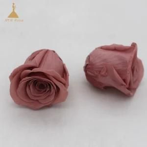 A Grade Coffee Eternal Longlasting Decorative Preserved Rose Flowers