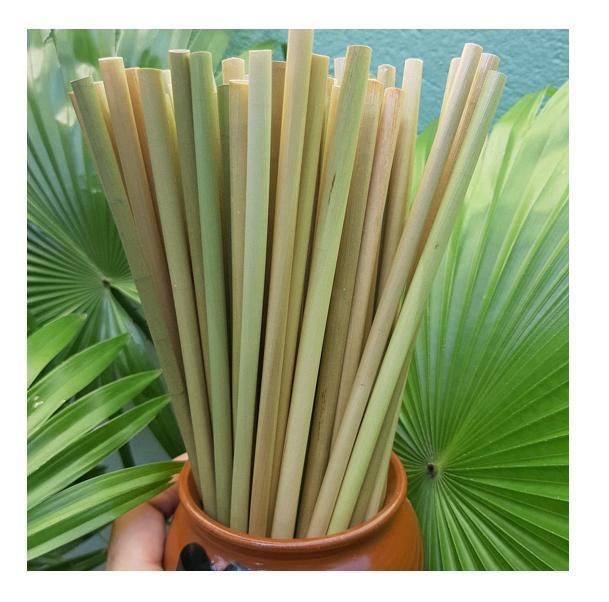 Eco-Friendly Grass Straw - No Contact PLA - Disposable Products From Vietnam