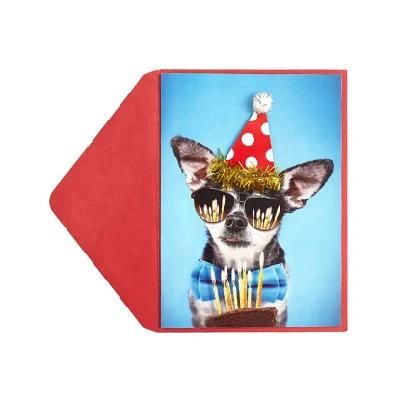 Card Board Birthday Background Habby Bts Happy Birthday Card Dog