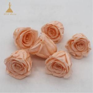Champange Color Grade a Everlasting Roses Preserved Flowers for Party &Gift Design