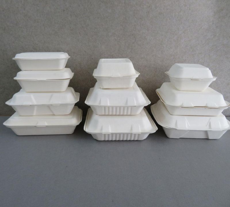 Wholesale Biodegradable Sugarcane Bagasse Food Paper Lunch Containers Togo