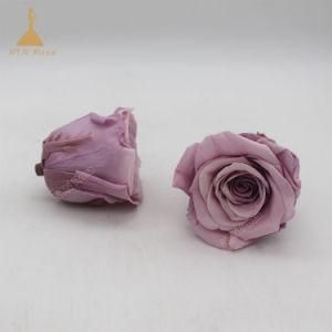 Roses Bud Customize Color Real Preserved Flower for Wedding Decoration