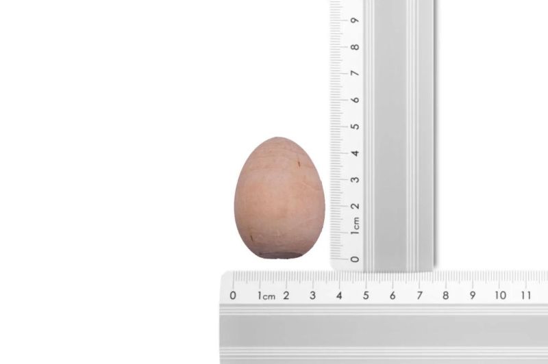 Wooden Decorative Easter Hanging Egg Party Decoration for Kids