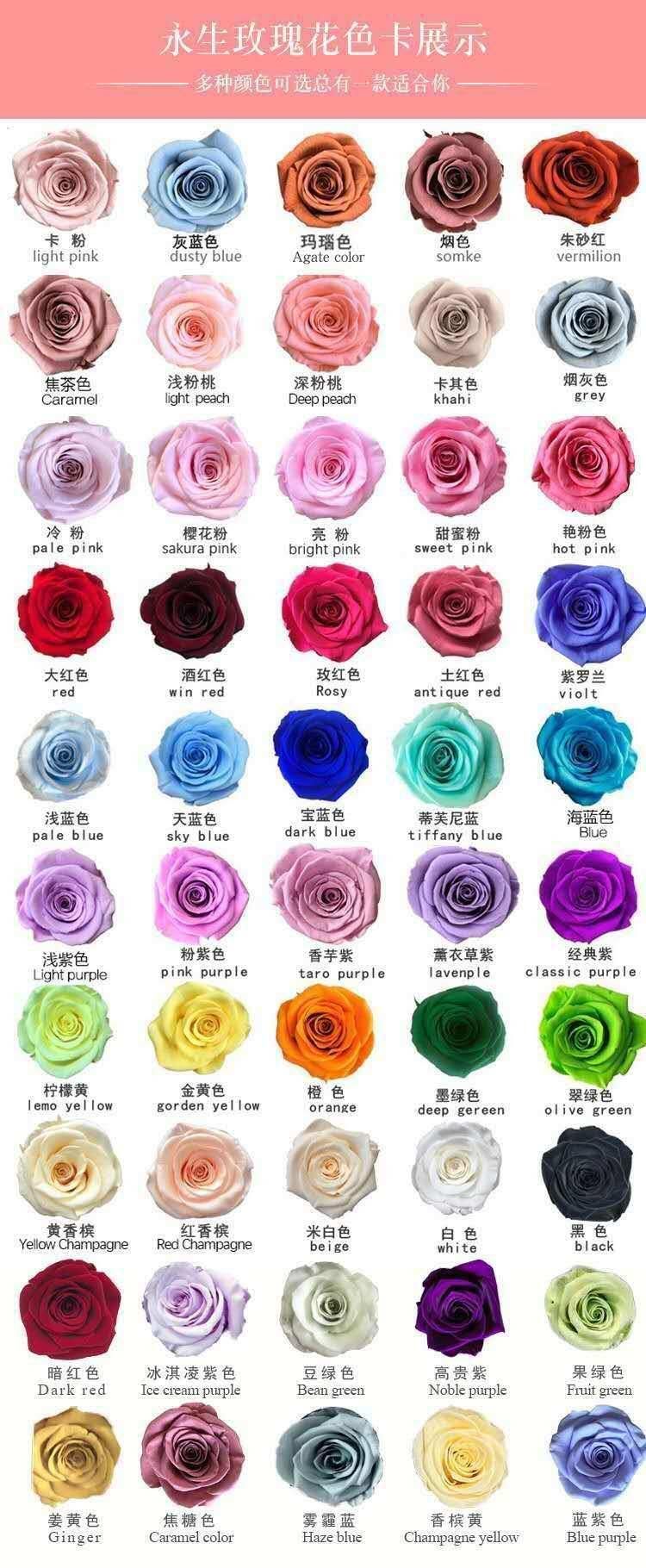 Amazon Wholesale Decorative Flower Preserved Roses Long Lasting Roses Eternal Valentine′s Day Gifts