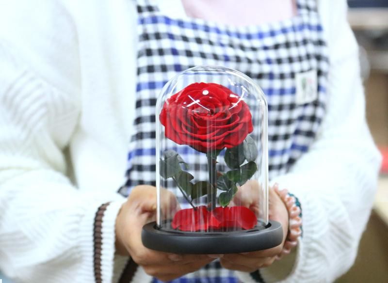 2022 New Rose Lamp Shade Valentines Day Boxes Valentines Day Gifts for Women