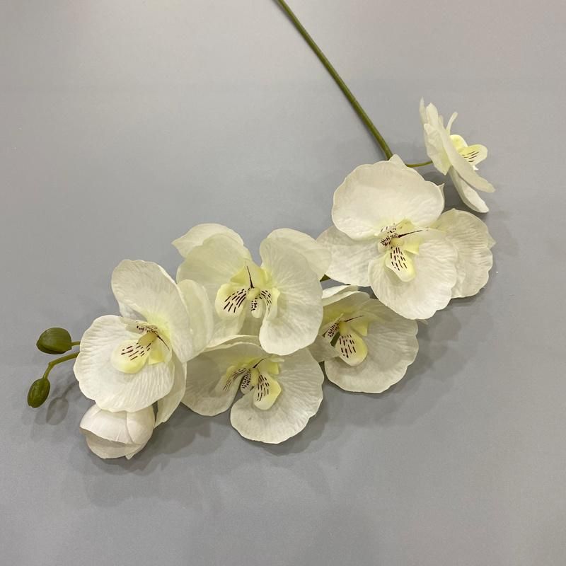 Artificial Phalaenopsis Flower Wholesale Arificila Orchid Flower