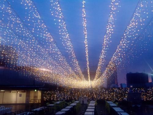 Christmas Hotel Club Decoration Commercial LED Icicle Holiday Lighting Products