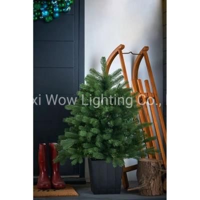 Mixed Pine Traditional Potted Christmas Tree 3 FT 0.9 M