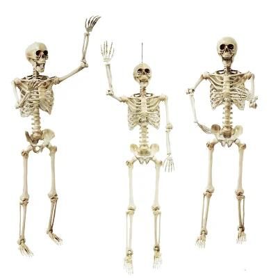 Full Body Tiny Hanging Halloween Skeleton for Holidays