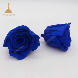 Jewelry Blue Preserved Longlasting Immortal Rose Flowers for Arrangement