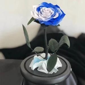 Christmas Gifts &amp; Crafts Preserved Rose in Glass Dome on Wooden Base
