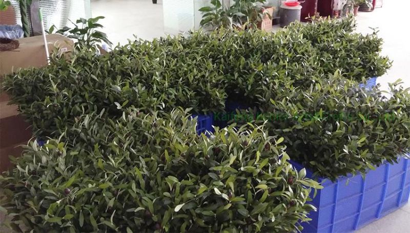 Factory Cheap Wholesale Artificial Olive Leaves for Wedding Decoration