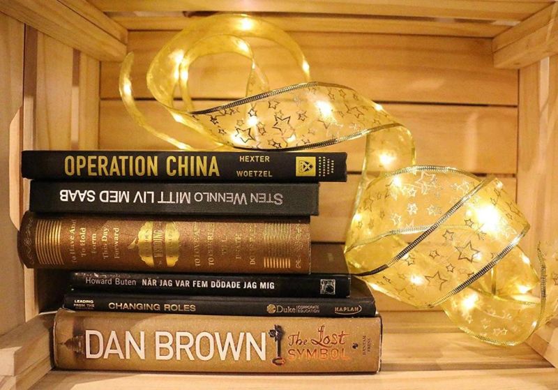 LED Decorative Lights Ribbon Window Curtain Lights