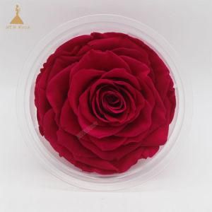 Perfect Natural Everlasing Handmade Preserved Roses for Holiday Gift &amp; Decoration