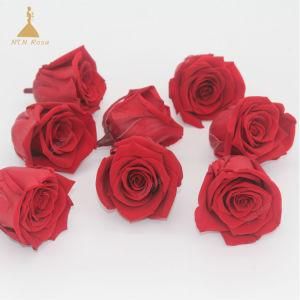 Grade a 4-5 Cm Red Christmas Decorative Preserved Rose Flowers Last Forever