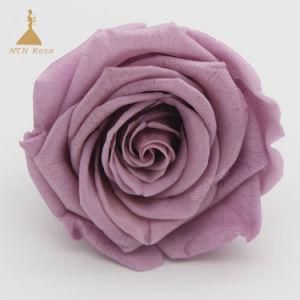 Christmas Decorative Flower Imorrtal 5~6cm Best Quality Longlasting Rose Flowers