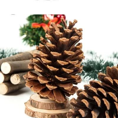 Pine Cone Shape Handmade Carved