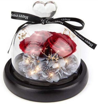 Eternal Preserved Rose in Glass Dome with Light- Made From Real Fresh Beauty Rose-Romantic Gifts for Her/Mom