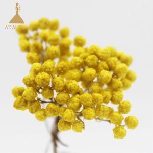 Dry Rice Flower Preserved Millet Flower Bouquet Widely Whoesale