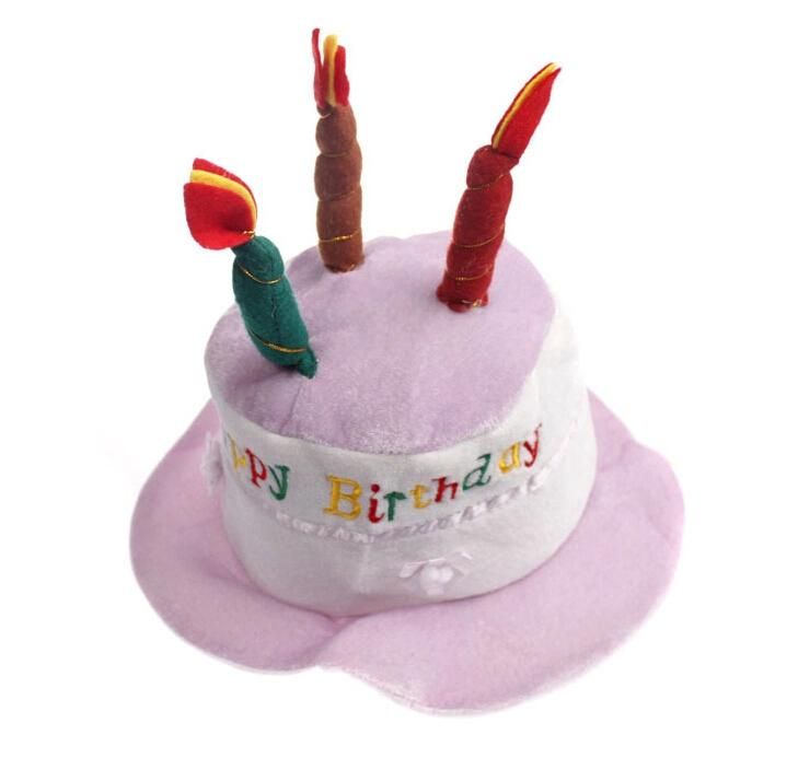 Happy Birthday Plush Cake Hats with Candles Pink or Blue Novelty Party Hat