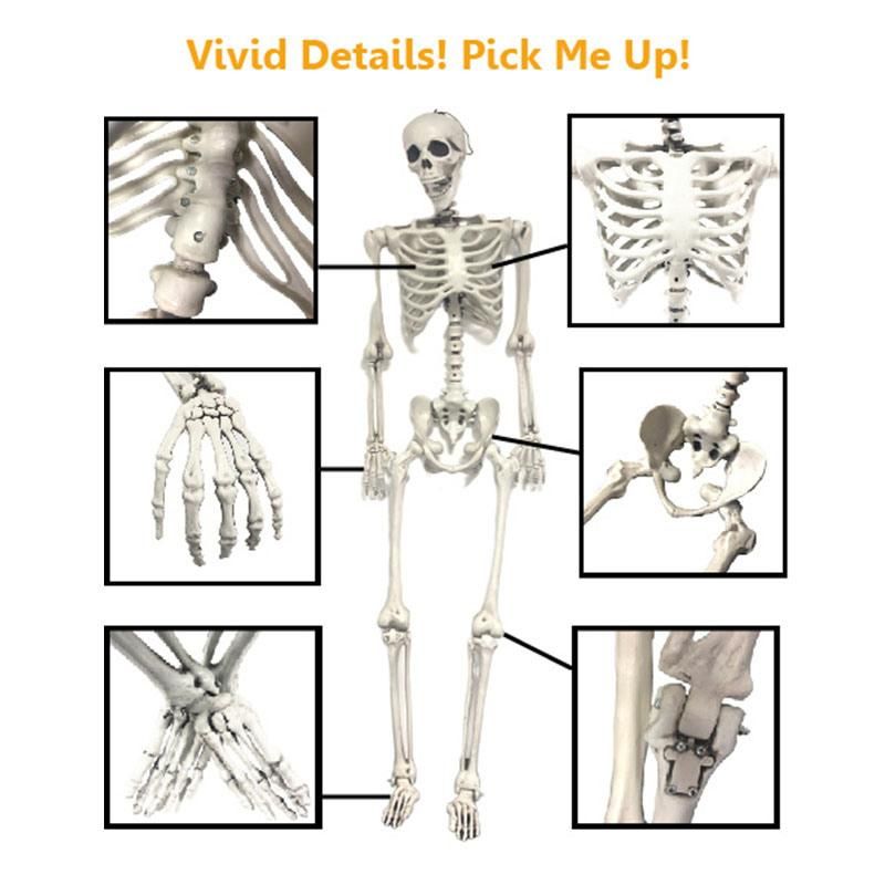 Pose-N-Stay Dog 28" Halloween Skeleton for Holidays