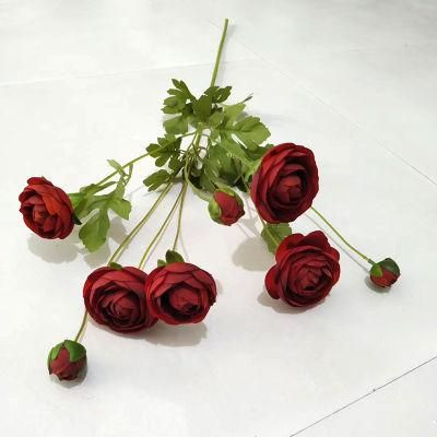 High Quality Elegant Peony Flower Wholesale