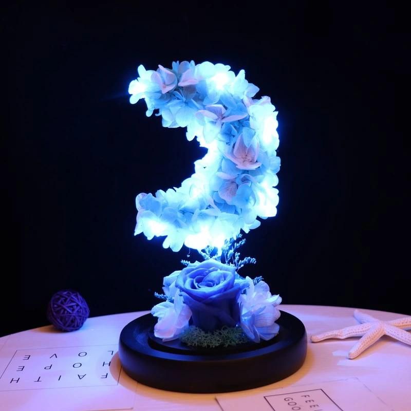 Decorative Flowers Wreaths Type Blue Real Long Time Preserved Roses Preserved Flowers in Glass Dome with LED Light