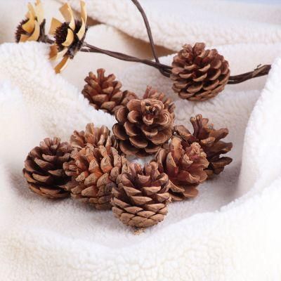 Natural Pine Cone for Christmas Decoration