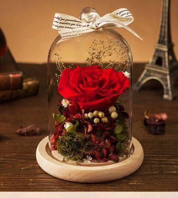 Wholesale Preserved Fresh Dried Red Flowers Roses in Dome