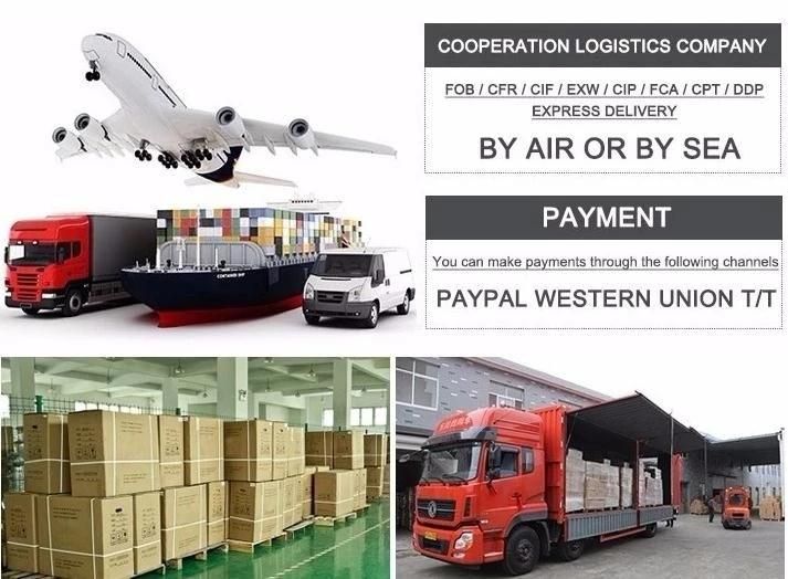 Wholesale Artificial for Christmas Decoration