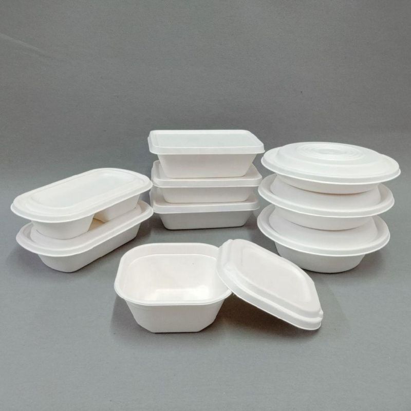 Wholesale Biodegradable Sugarcane Bagasse Food Paper Lunch Containers Togo