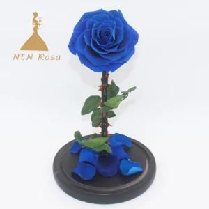 Enchanted Preserved Rose in Glass Dome Wedding Decoration Items