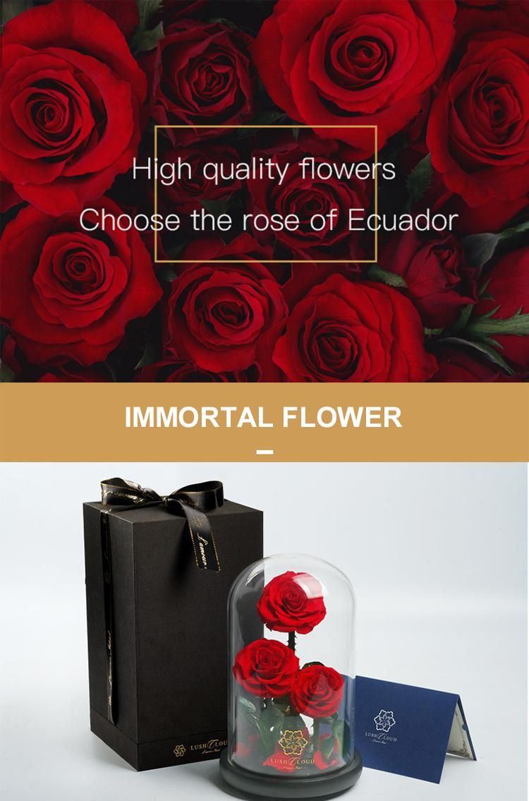 Eternal Rose -Preserved Real Rose in Glass Dome Gift Eternal Flower, Beautiful Gift for Valentine′s Day Mother′s Day Christmas Anniversary Birthday