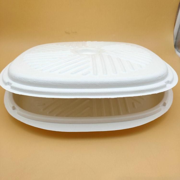 Bio Eco Friendly Sustainable Packaging Bagasse Pizza Clamshell Box