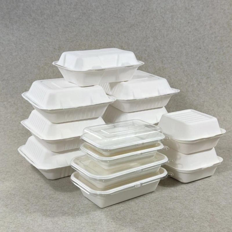 Eco Food Container Clamshell Microwave Biodegradable Compostable Food Packaging