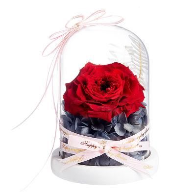 Eternal Rose Grade a Preserved Real Rose Immortal Flowers in Glass Dome, for Teacher&prime;s Day, Mother&prime;s Day, Birthday, Wedding, Parties and Christmas